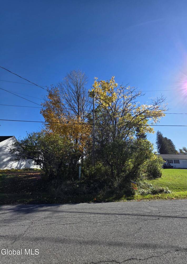 Photo 1 of 3 of land for sale at L14 Green Acres Lane, Hagaman, NY 12086