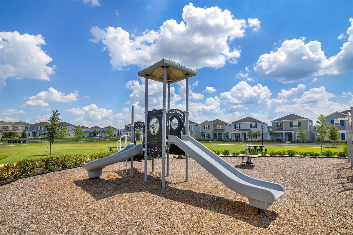 2924 Fitness Street, Clermont, FL 34714