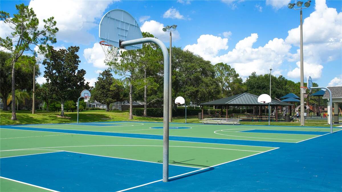 3851 Hunters Isle Drive, Orlando, FL 32837