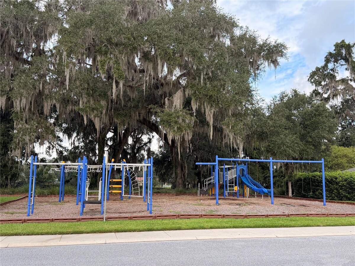 5011 Belted Kingfisher Drive, Oxford, FL 34484
