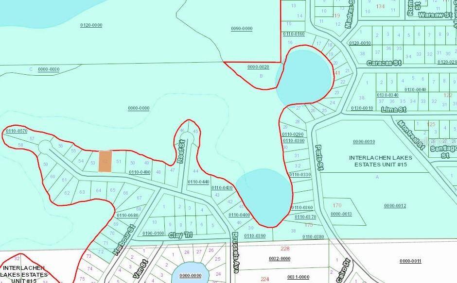 Photo 3 of 3 of land for sale at 254 Brussels Avenue, Interlachen, FL 32148
