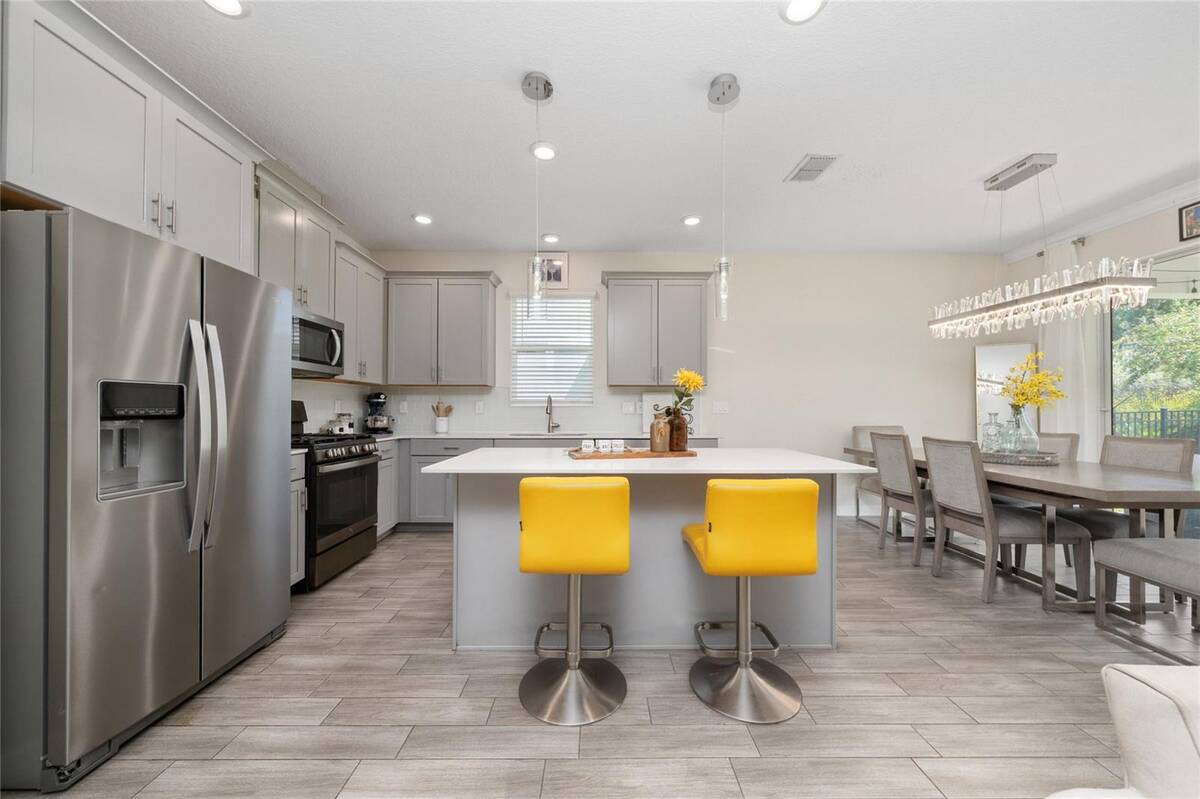 1211 Dora Parc Lane, Mount Dora, FL 32757