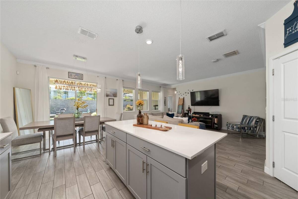 1211 Dora Parc Lane, Mount Dora, FL 32757
