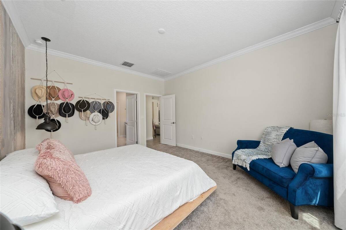 1211 Dora Parc Lane, Mount Dora, FL 32757