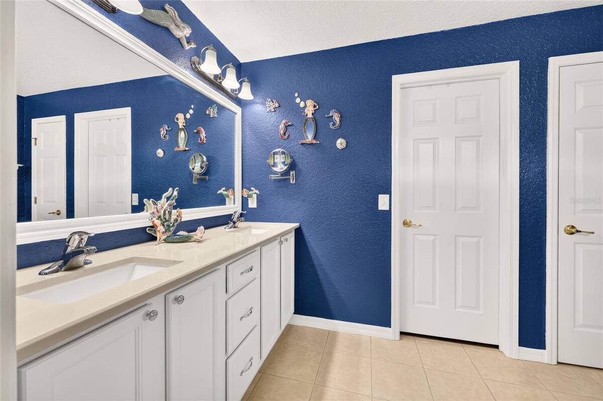 11985 Se 91st Circle, Summerfield, FL 34491