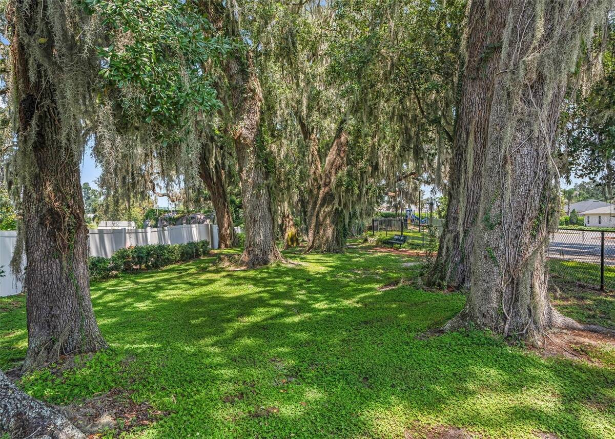 10038 Ketch Kay Lane, Oxford, FL 34484