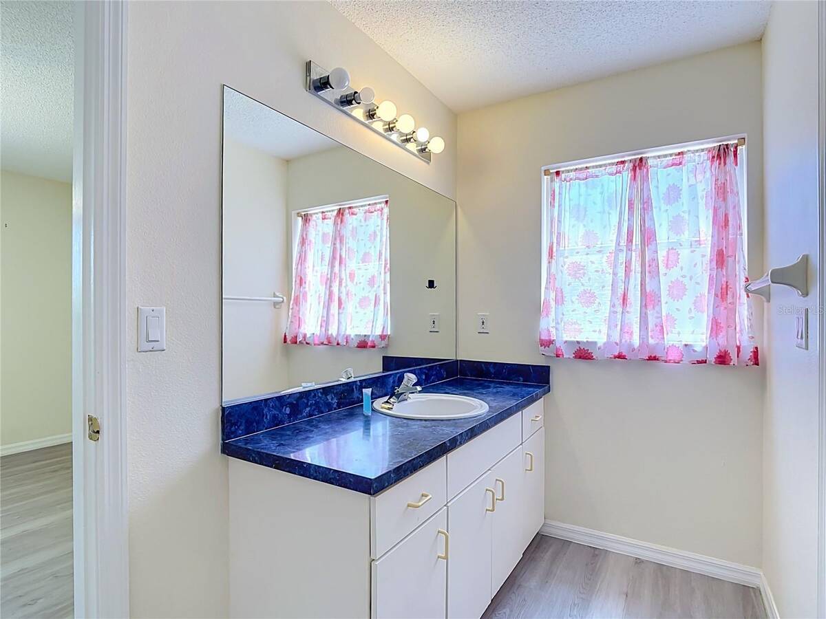 15405 Margaux Drive, Clermont, FL 34714