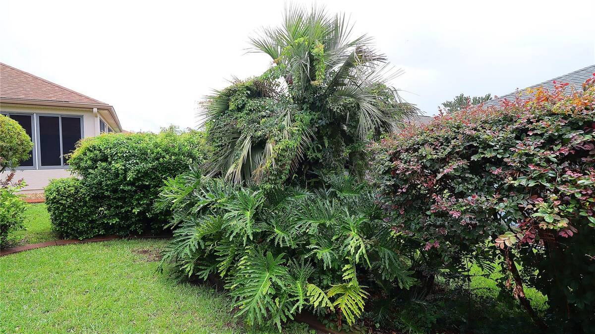 11735 Se 91st Circle, Summerfield, FL 34491