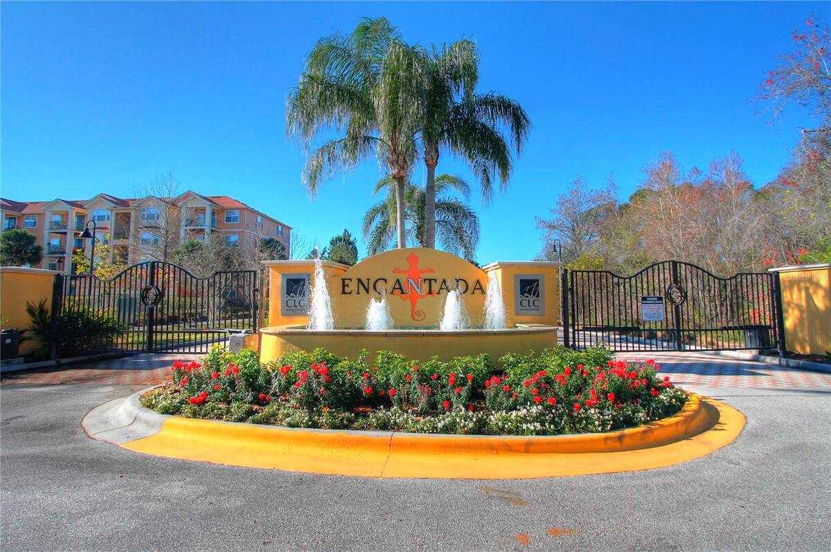 8572 Bay Lilly Loop, Kissimmee, FL 34747