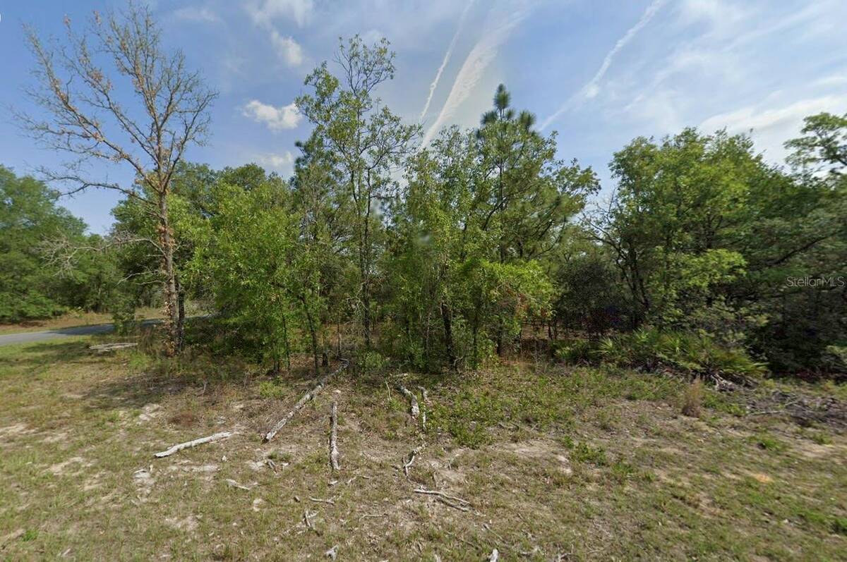 Photo 1 of 2 of land for sale at 1389 W Pendleton Street, Dunnellon, FL 34434