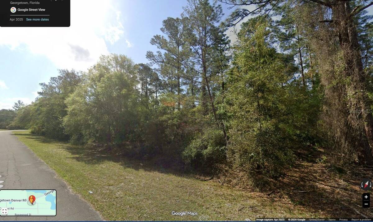 109 S Georgetown Point Road, Georgetown, FL 32139