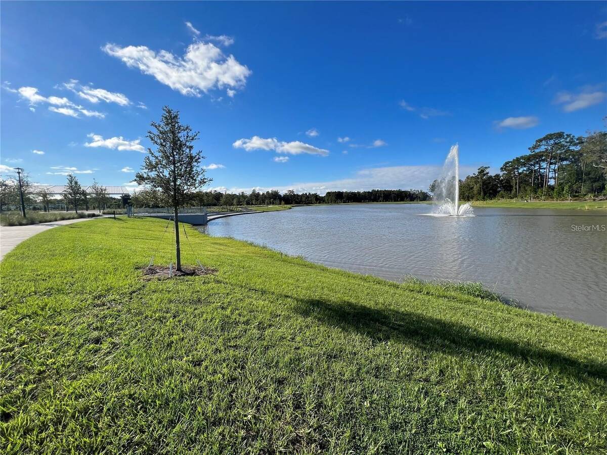 2257 Valentine Alley, Orlando, FL 32804