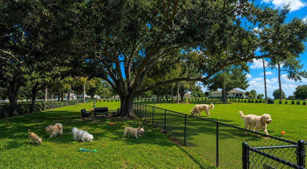 8761 Sw 93rd Circle, Ocala, FL 34481