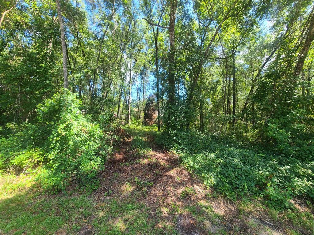 6837 E Bluebird Lane, Inverness, FL 34452 (Sold NYStateMLS Listing