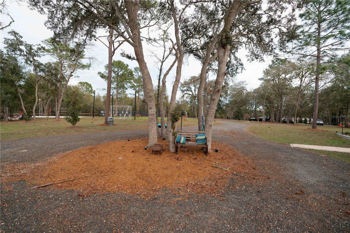 7670 Ne 97th Court, Bronson, FL 32621