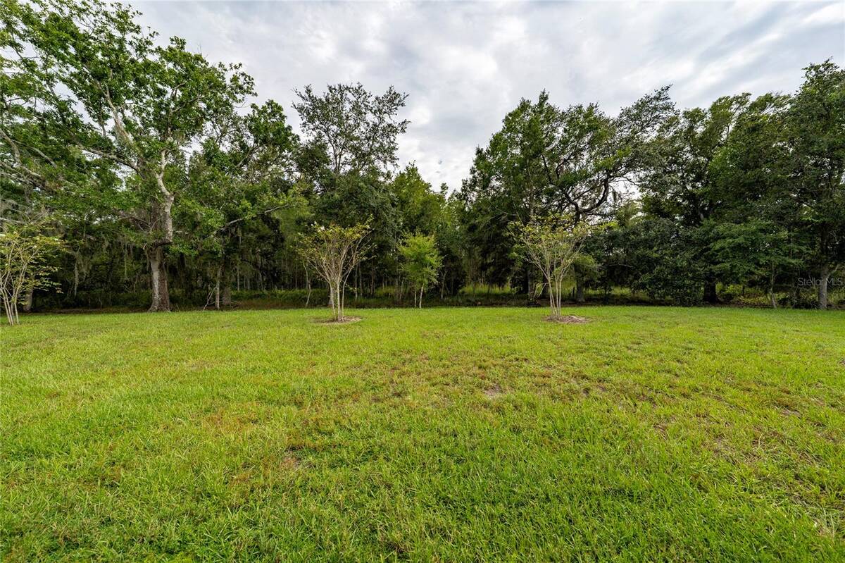 4385 Twisted Twig Bend, Kissimmee, FL 34746