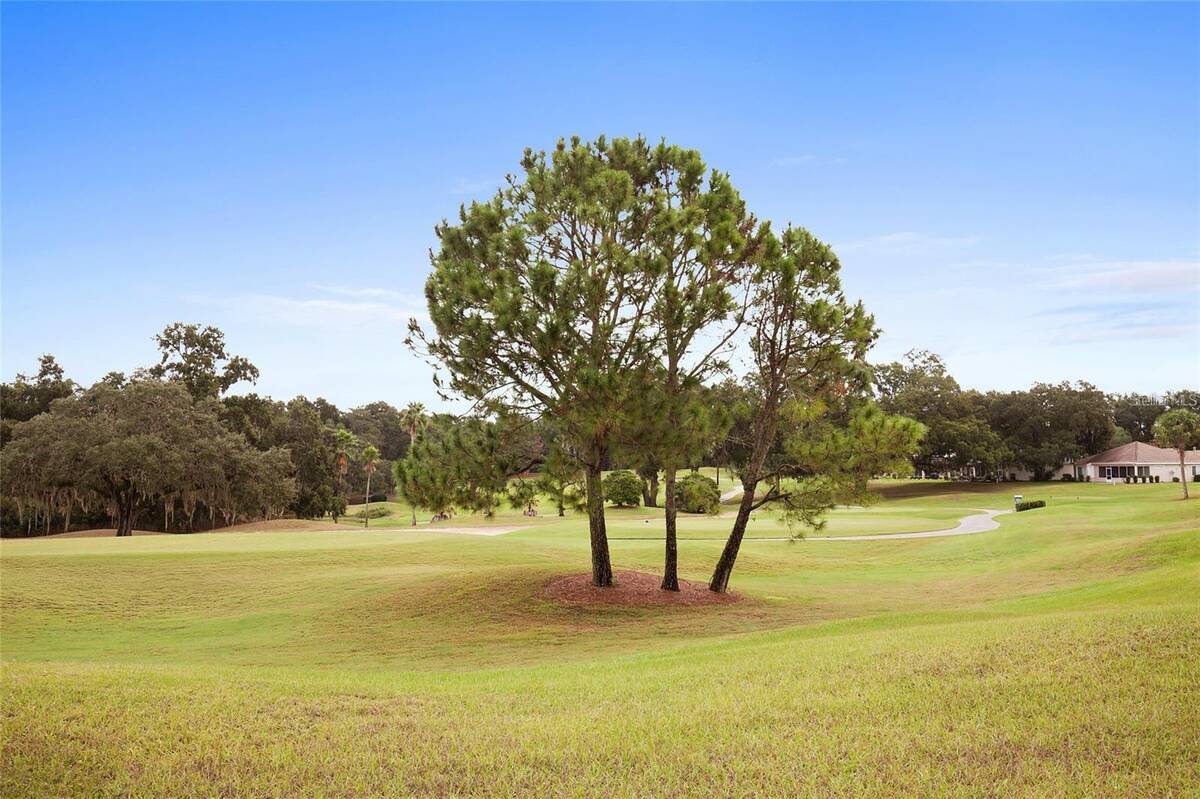 13660 Se 90th Terrace, Summerfield, FL 34491