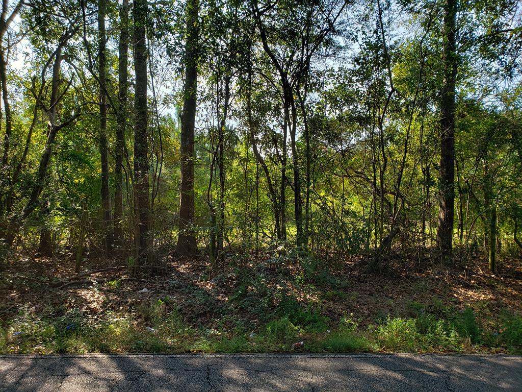 Pearl River County Carriere Mississippi (MS) — Real Estate Listings By City